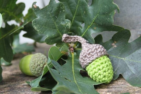 Comment apprendre les techniques et les astuces du DIY ?